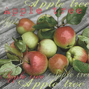 From The Apple Tree Apfel Obst
