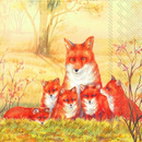 Fuchs Familie Fox Family  33 x 33 cm