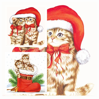 Kitties Katze Stiefel Mtze Weihnachten Christmas Dressed