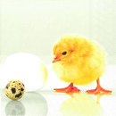 Ostern Kken Ei Snoopy Chicken  33 x 33 cm