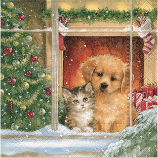 Hund & Katze Weihnachtsmorgen Christmas Morning  33er oder 25er