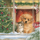Hund & Katze Weihnachtsmorgen Christmas Morning  33er oder 25er