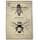 Schmetterling Biene Vintage Bugs Leinen Kchenhandtuch 2 tlg