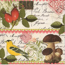Botanical Postcard