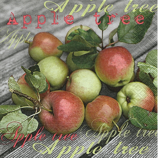 From The Apple Tree Apfel Obst