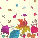 Herbst Tag bunte Bltter Autumm Day  33 x 33 cm