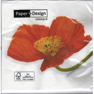 Fine poppy  33 x 33 cm