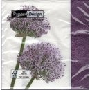 Allium Blume Lauch Lila  33 x 33 cm