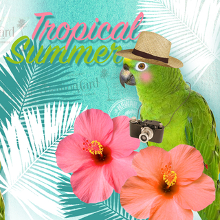 Tropical Summer