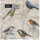 Vogel Rotkehlchen Meise Kleiber Birds collection  33 x 33 cm