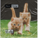 Katzen Baby Kitten Forwards  33 x 33 cm