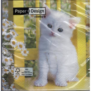 weie Katze Ktzchen So white  33 x 33 cm