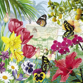 Blumeninsel Insel Mainau Sweet Pac  33 x 33 cm