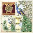 Pfau Taj Mahal Pfau Taj Mahai Peacock 33 x 33 cm