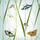 Schmetterlinge Summer delight Sweet Pac  33 x 33 cm