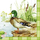 Ente Erpel Duck Family Sweet Pac  33er