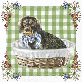 Dackel Hund Waldi Sweet Pac  33 x 33 cm