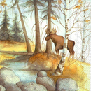 Elch Moose 33 x 33 cm