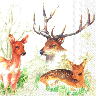 Reh Kitz Waldtiere Deer Park 33 x 33 cm