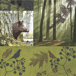 Wald Wildschwein Forrest in Fall  33 x 33 cm