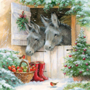 Esel Santas Donkeys 