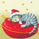 Santa Cat Weihnachts Katze