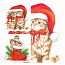 Kitties Katze Stiefel Mütze Weihnachten Christmas Dressed