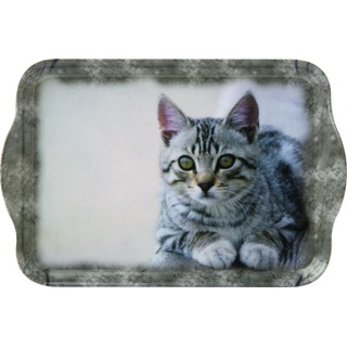 grau getigerte Katze Cuddly Cat  Snack Tablett  