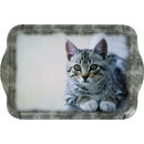 grau getigerte Katze Cuddly Cat  Snack Tablett  
