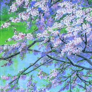 Japan Blten Frhlingsbaum Japanese Blossoms  33 x 33 cm