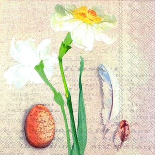 Narzisse Ostern Hase Ei Federn Narcisse Naturelle  33 x 33 cm