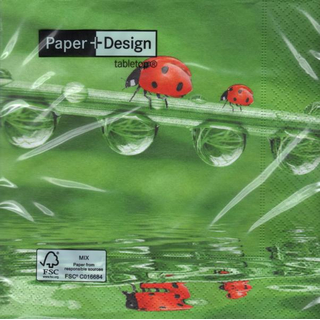 Marienkfer Glckskfer Ladybugs on Tour  33 x 33 cm