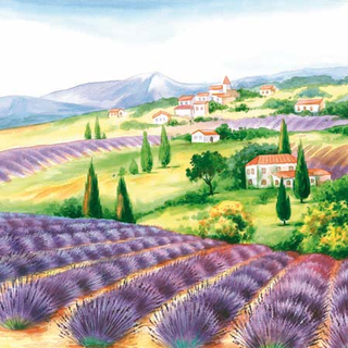 Lavendel Lavender Fields 33x33 cm