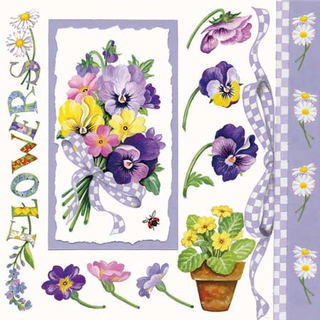 Stiefmtterchen Pansy Bouquet 33x33 cm