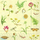 Botanische Vielfalt Botanical Study  Cream oder Blau   33 x 33 cm
