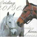Pferd Horse Riding 33er 