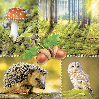 Wald Igel Eule Pilz Eichel Forest Nature 25er oder  33er