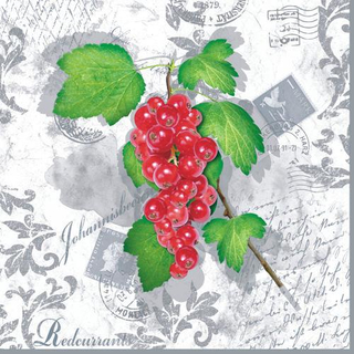 Johannisbeere Red Currant 33er 