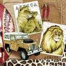 Afrika Africa Lwe Safari Zebra Jeep 33er