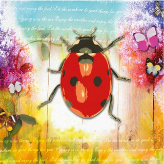 Marienkfer Ladybugs & Flower